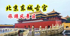 肏美眉视频中国北京-东城古宫旅游风景区